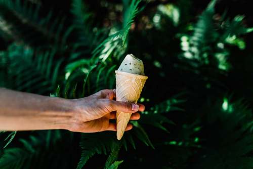 ice cream person holding ice cream arm